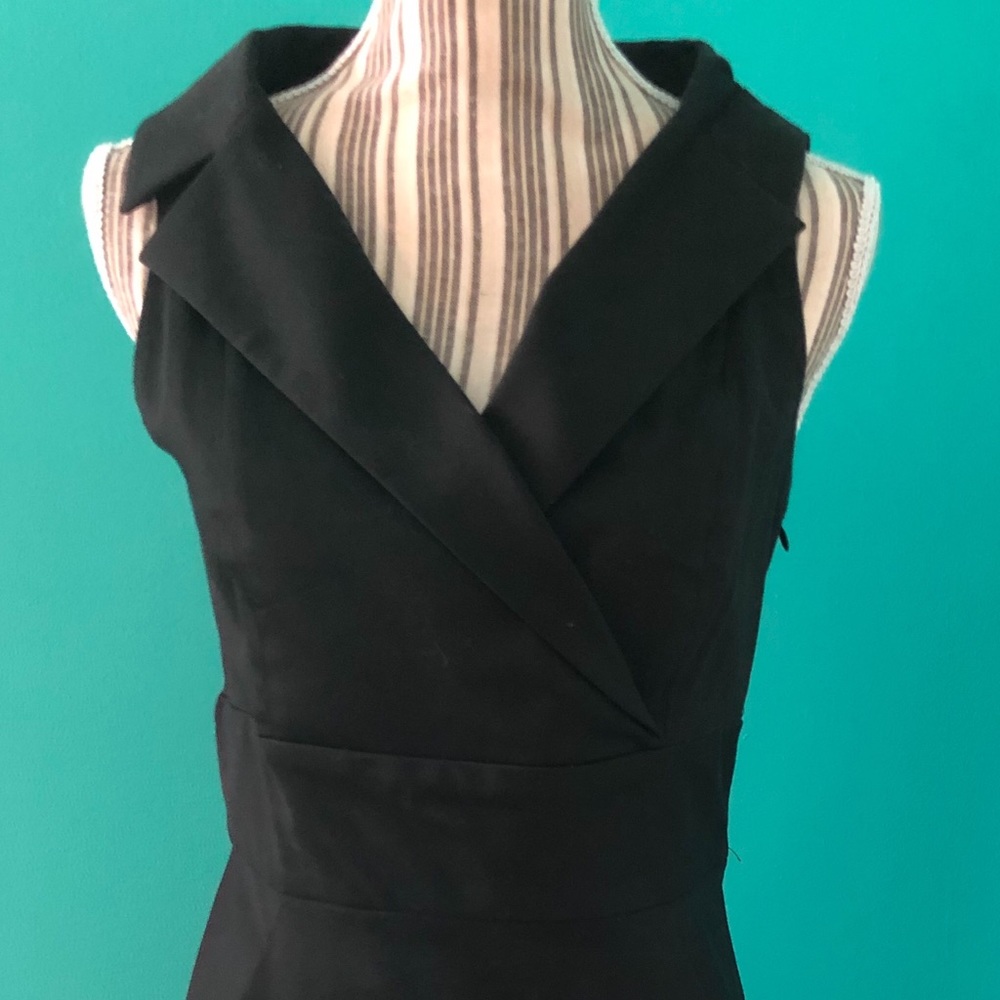 Chaiken Portrait Dress